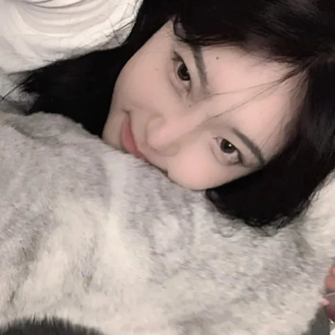 鹬